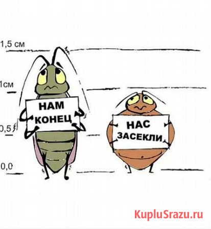 Дезинсекция Волгоград - изображение 1