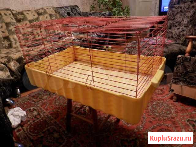 Клетка для крупных грызунов Краснодар - изображение 1