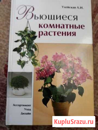 Книги Старая Русса - изображение 1