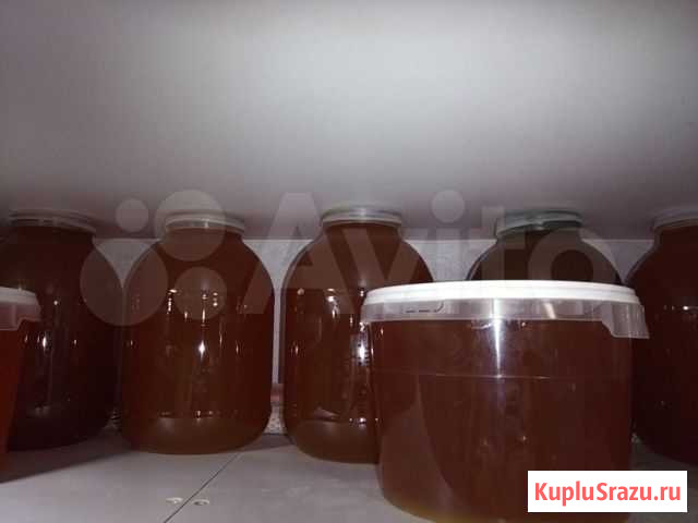 Мед,Сотовый Мед, Забрус, Перга, прополис Нижний Новгород - изображение 1