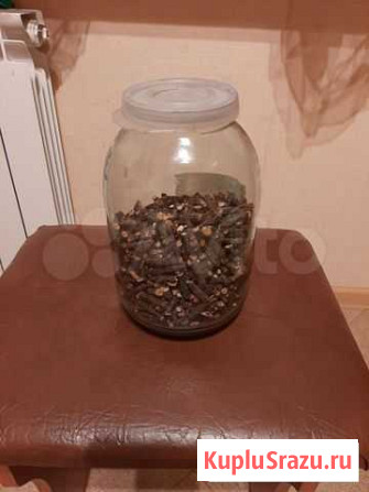 Корни лапчатки белой Липецк - изображение 1