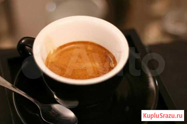 Эспрессо «arabica Exclucive» Саратов - изображение 1