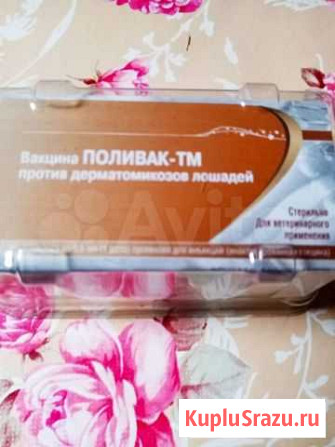 Вакцина Поливак тм для лошадей Киров - изображение 1