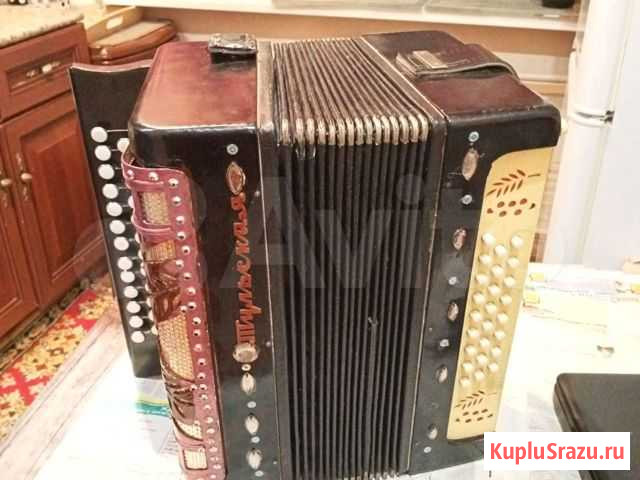 Гармонь Курск - изображение 1