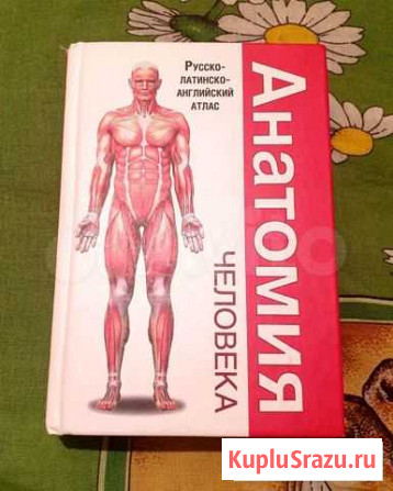 Анатомия человека Архангельск - изображение 1