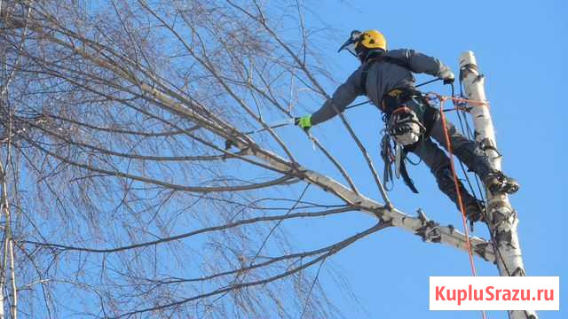 Спилить удалить аварийное дерево кронирование Пермь - изображение 1