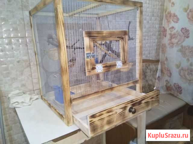 Клетка Нижний Новгород - изображение 1