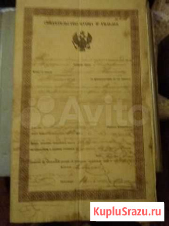 Документы Астрахань - изображение 1