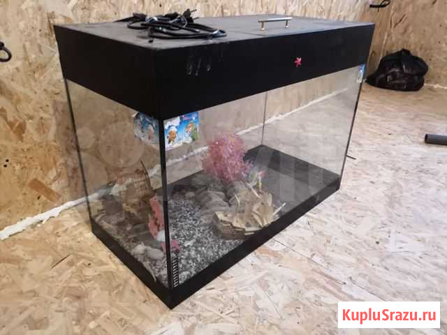 Аквариум бу Краснодар - изображение 1