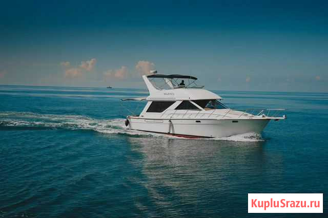 Рыбалка морская и аренда яхт Сочи - изображение 1