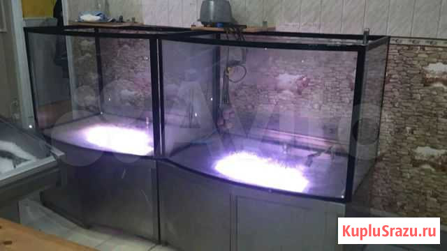 Аквариум для рыб Пушкино - изображение 1