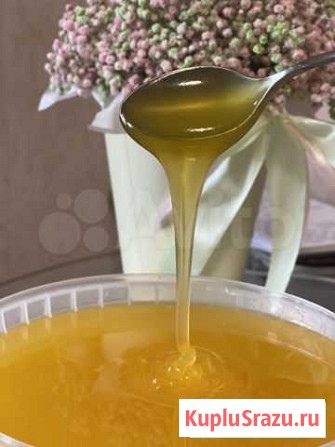 Мед натуральный бесплатная доставка Нижний Новгород - изображение 1