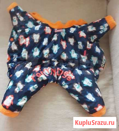Комбенизон для собак Хабаровск - изображение 1