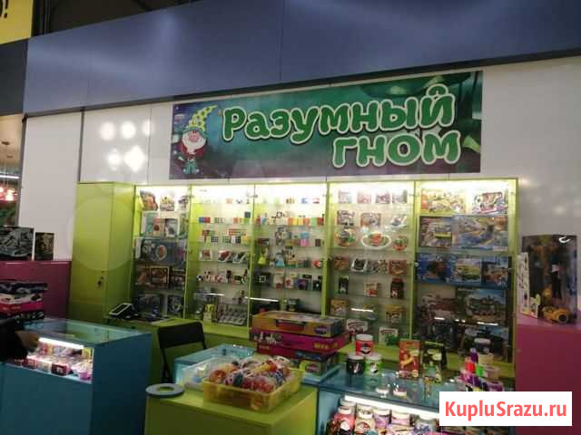 Бизнес по продаже детских развивающих игрушек Иркутск - изображение 1