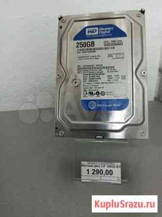 Quick Service:HDD 3.5 250 gb Бийск