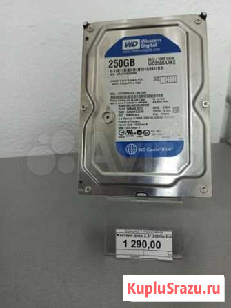 Quick Service:HDD 3.5 250 gb Бийск - изображение 1