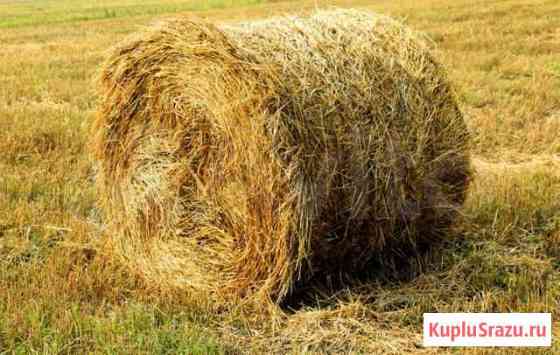 Продаю сено Солтон