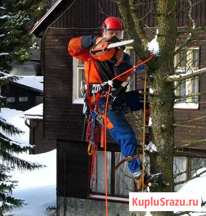 Спил и обрезка (кронирование) деревьев, расчистка Новомосковск - изображение 1