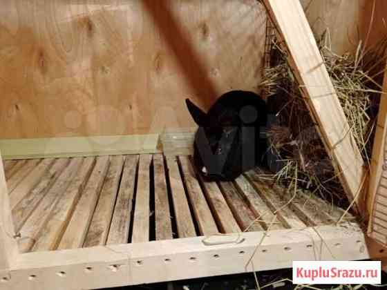 Клетка для кролика Воронеж