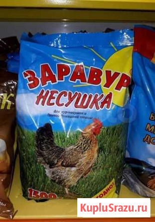 Корма для кур и свиней Нижний Новгород - изображение 1