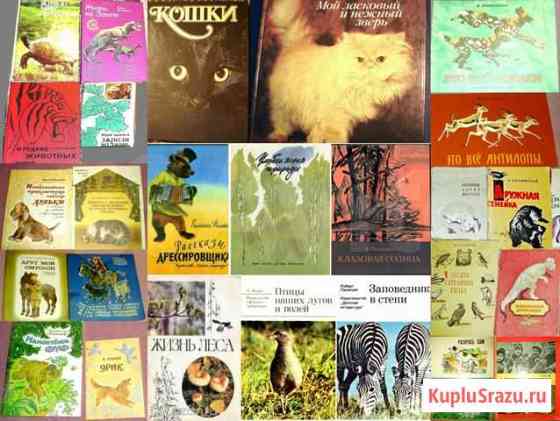 Детские книги о Животных Санкт-Петербург