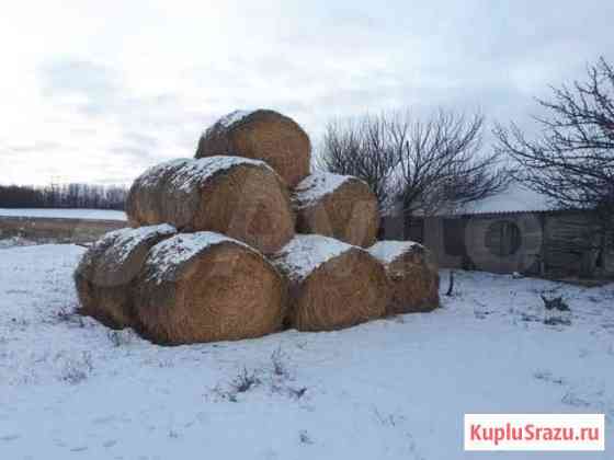 Солома ячменная Ровеньки