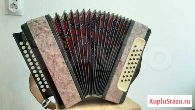 Купить тульская гармонь Коломна - изображение 1