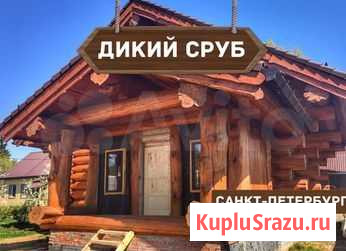 Сруб дома Санкт-Петербург - изображение 1