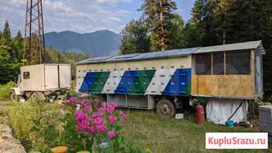 2020 Горный Чисто Липовый Мёд с доставкой Краснодар