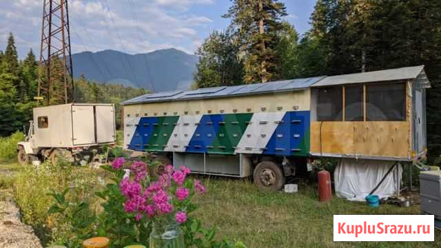 2020 Горный Чисто Липовый Мёд с доставкой Краснодар - изображение 1