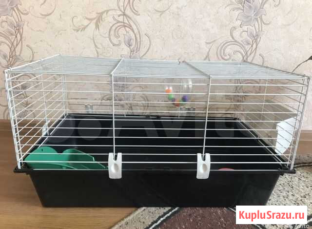 Клетка Пятигорск - изображение 1
