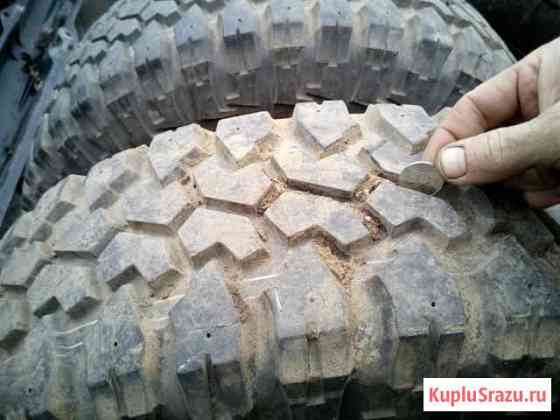 Продам грязевые колеса Maxxis Bighorn Киров