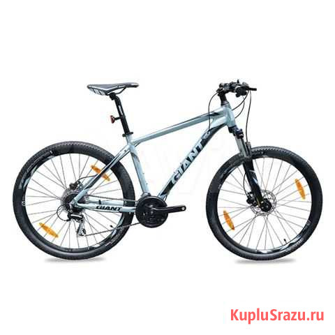 Giant Rincon Disc - 2020 Екатеринбург - изображение 1