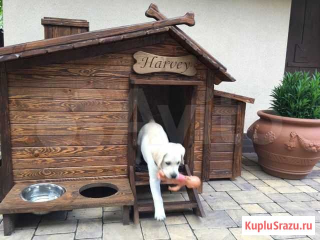 Будки для собак и кошек с навесом, верандой Тюмень - изображение 1