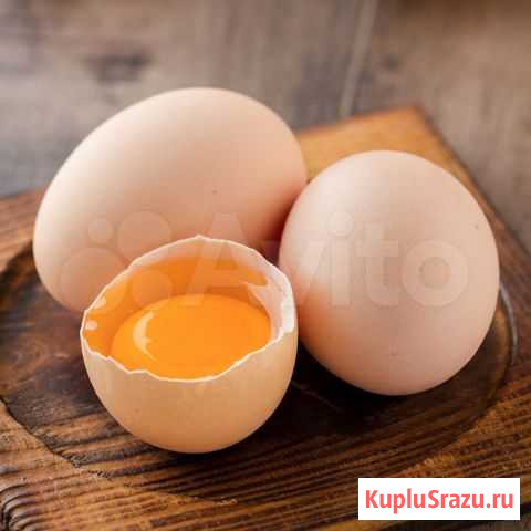Яйца домашние куриные Ленинградская - изображение 1