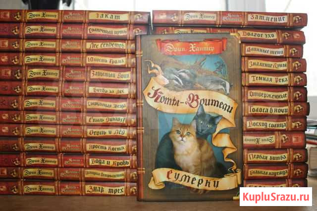 Коты-воители Калуга - изображение 1