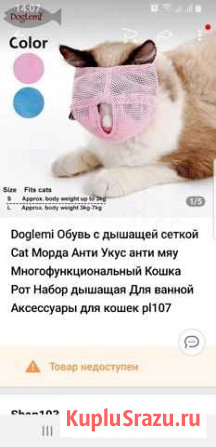 Кошка Хабаровск - изображение 1