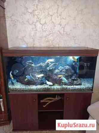 Отличный аквариум с рыбой, фильтром, оборудованием Санкт-Петербург