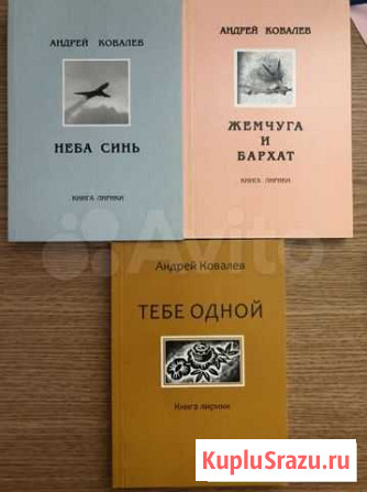 Книга Владимир - изображение 1