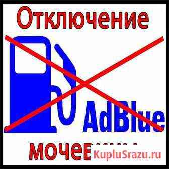 Отключение системы AdBlue, ERG на Mercedes Калуга