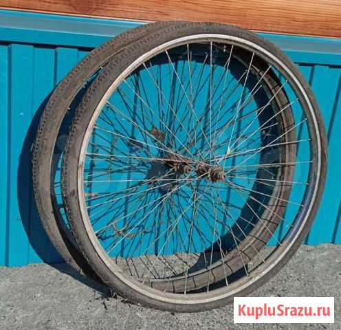 Колесо Бийск - изображение 1