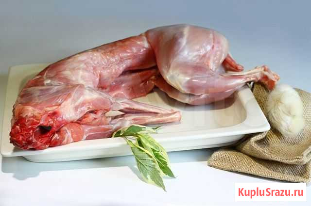 Мясо кролика Железногорск - изображение 1