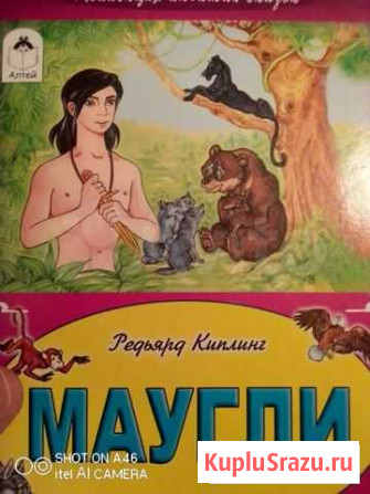 Книга Маугли Королев - изображение 1