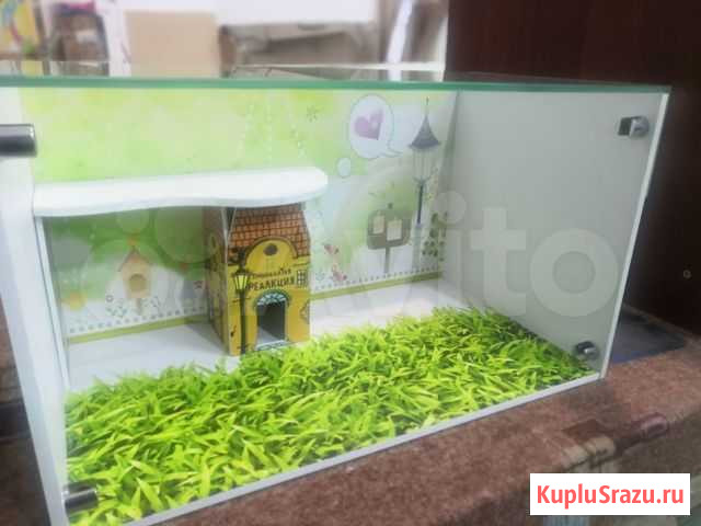 Террариум клетка гля хомяков грызунов Набережные Челны - изображение 1