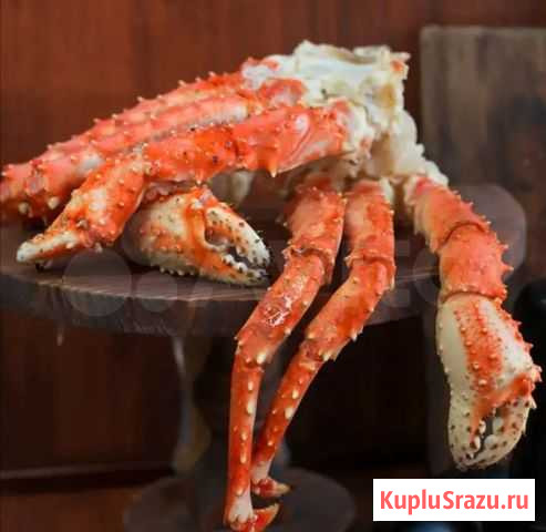 Конечности Камчатского краб /91 Новосибирск - изображение 1