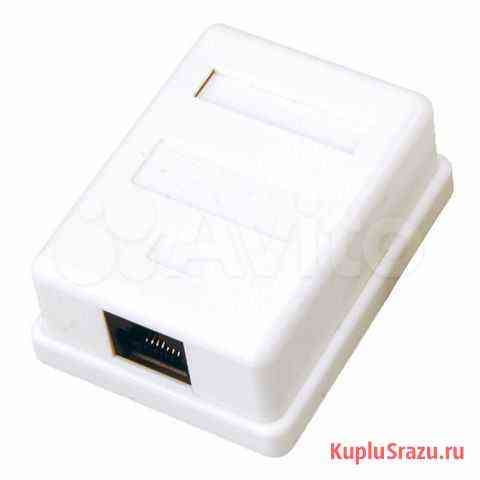 Розетка компьютерная 1-порт RJ-45 (8P8C) Тольятти