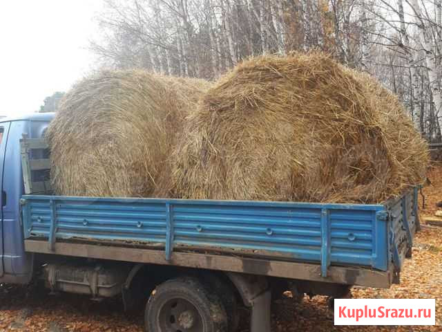 Сено 2020 Тобольск - изображение 1