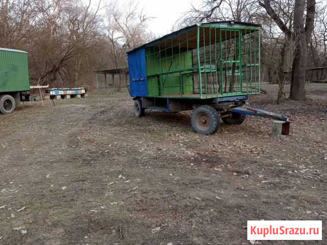 Пчелопавильон Моздок - изображение 1
