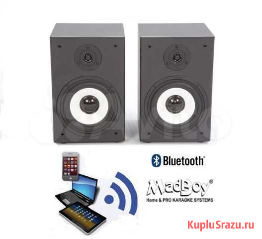 MadBoy Bonehead 206 BT смартфон в подарок Новосибирск - изображение 1