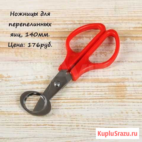 Ножницы для перепелиных яиц Усть-Кут - изображение 1